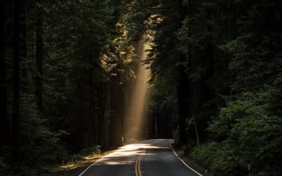 The Buddhist Divorce: A Road Less Traveled.